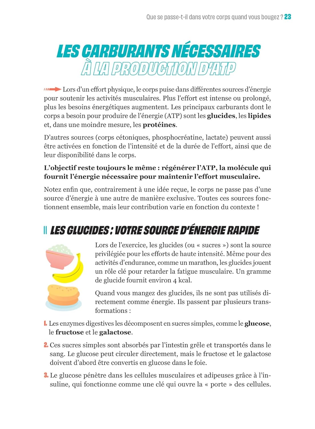 Le nutri'guide du sportif - Marabout - Livre de cuisine - - La Guilde Culinaire