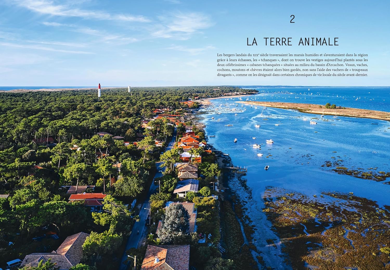 L'été gourmand au Cap Ferret - Hachette Ed. - Livre de cuisine - - La Guilde Culinaire