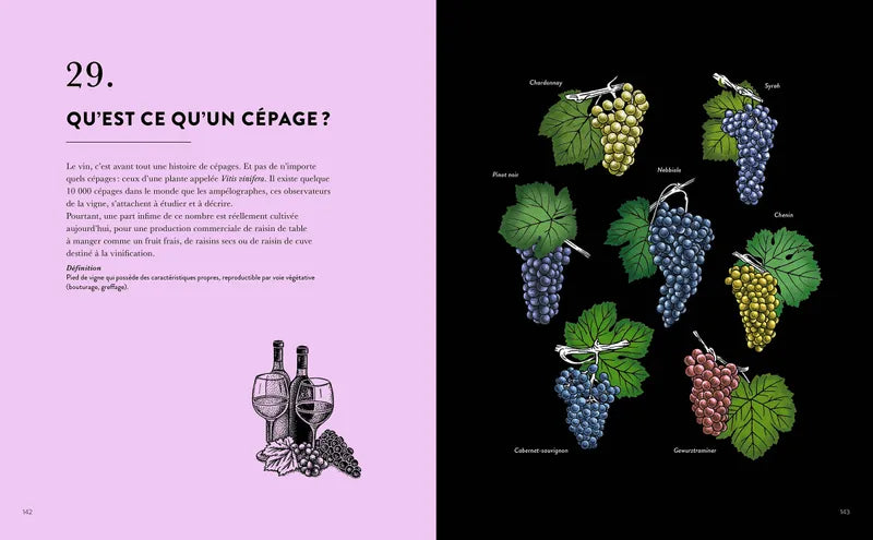 Le Vin en 50 questions    - Hachette Ed. - Livre d'alcool et boisson - 