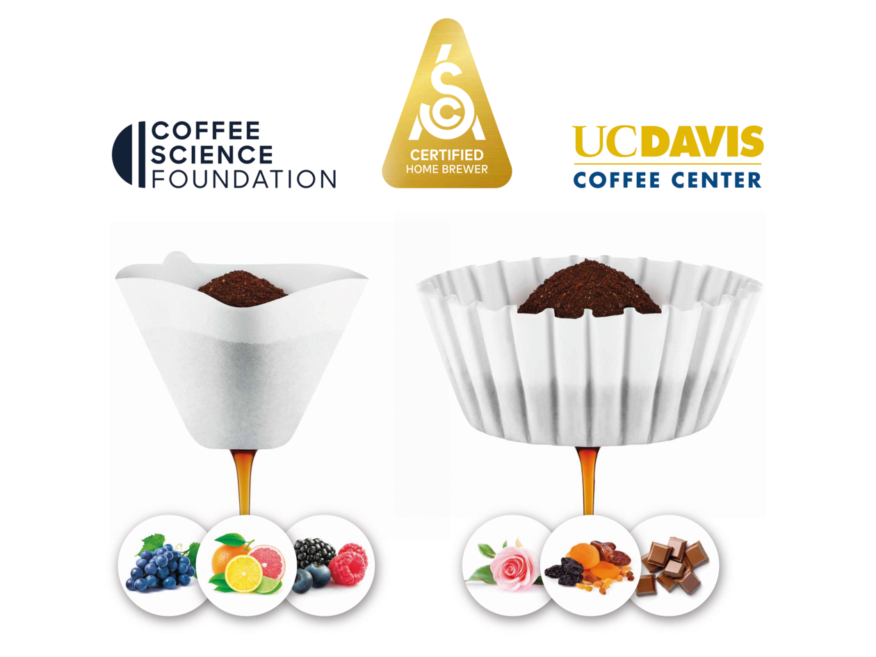 Machine à Café filtre The Luxe Brewer Glass - Breville - Cafetière à filtre - - La Guilde Culinaire