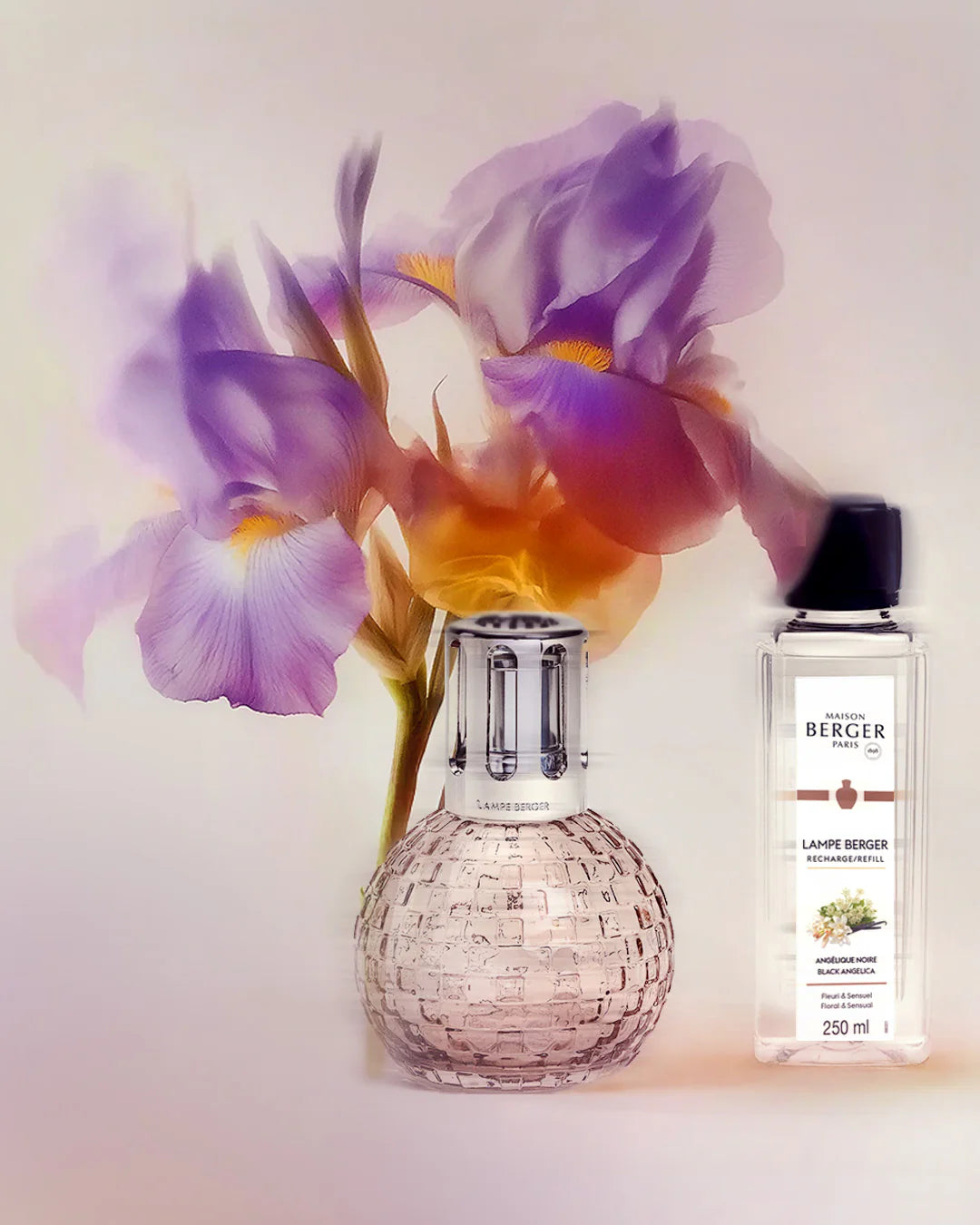 Coffret lampe Berger Disco Rose - Maison Berger Paris - Coffret Lampe Berger - - La Guilde Culinaire