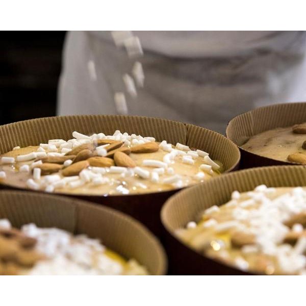 Panettone Glassato 500g - Filippi Pâtisserie - Panettone - - La Guilde Culinaire