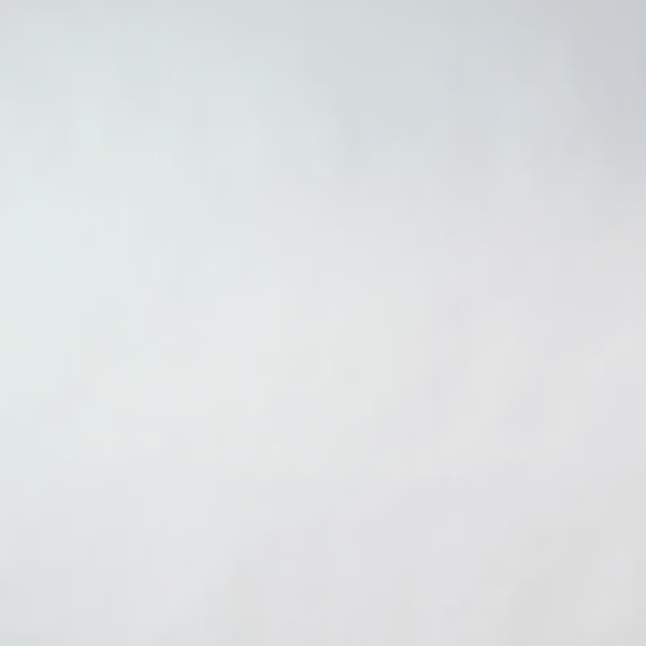 Pierre à pizza RICARDO - Ricardo - Pierre à pizza - - La Guilde Culinaire