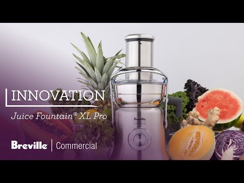 Presse-agrumes The Juice Fountain XL Pro - Breville - Extracteur de jus - - La Guilde Culinaire