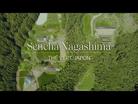 Sencha Nagashima biologique (sac de 75g) - Camellia Sinensis - Thé et infusion - - La Guilde Culinaire