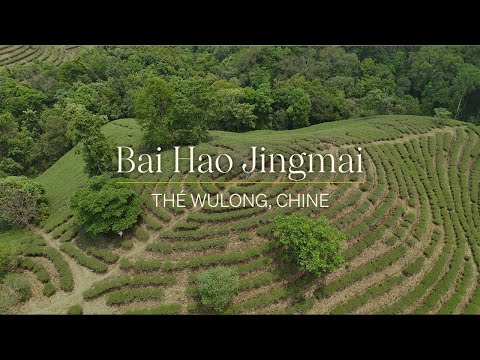 Beauté Orientale biologique (sac de 40g) - Camellia Sinensis - Thé et infusion - - La Guilde Culinaire