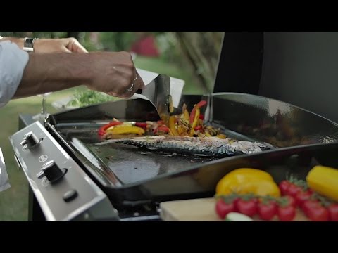 Plancha Eno BERGERAC 1800 - ENO - Plancha - - La Guilde Culinaire