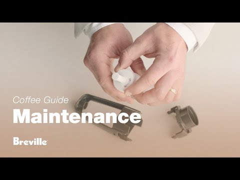 Cartouche de Filtration machine à espresso Breville - Breville - Entretien de machine à café - - La Guilde Culinaire