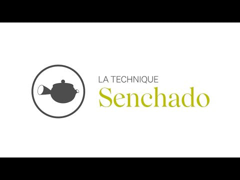 Sencha Nagashima biologique (sac de 75g) - Camellia Sinensis - Thé et infusion - - La Guilde Culinaire