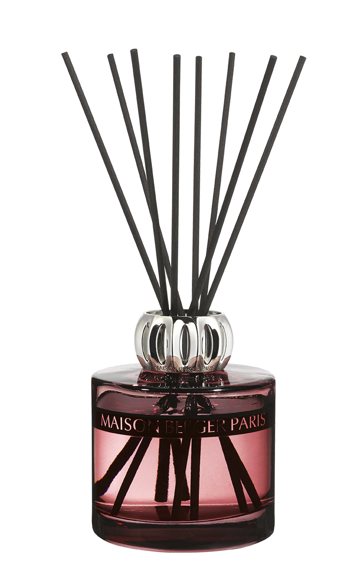 Bouquet parfumé Duality – Angélique noire – 115 ml (3,9 oz) !    - Maison Berger Paris - Parfums d'ambiance - 