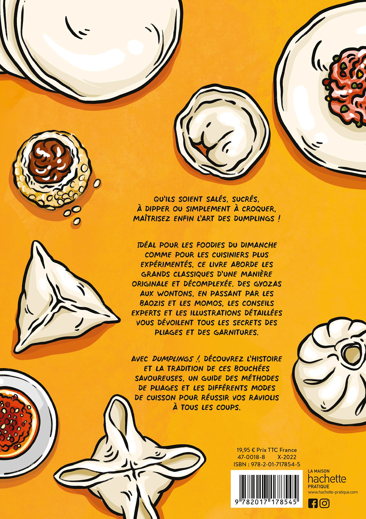 Dumplings    - Hachette Ed. - Livre de cuisine - 