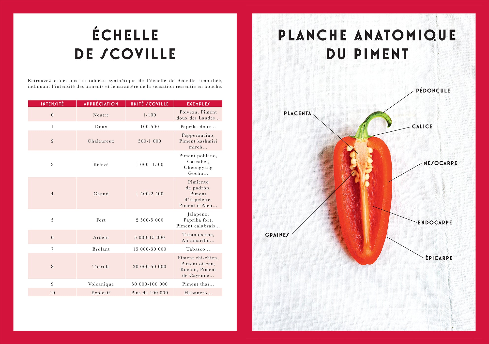 Piment    - Hachette Ed. - Livre de cuisine - 