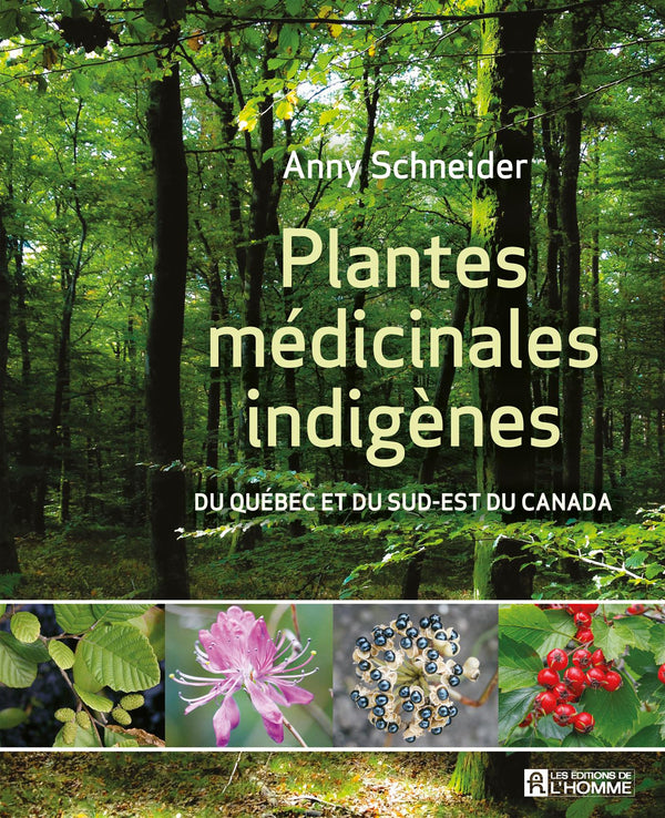 Plantes médicinales indigènes    - De L'Homme Ed. - Livre de cuisine - 