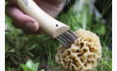 Opinel - N°08 Couteau champignons    - Opinel - Couteau de poche - 