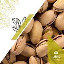 Pâte de praliné Pistaches 70%    - Cacao Barry - Praliné - 